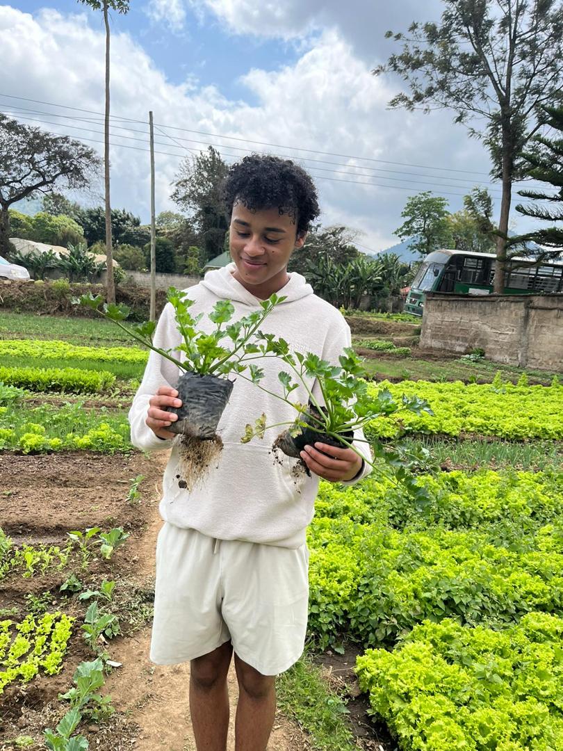 Environment & Conservation