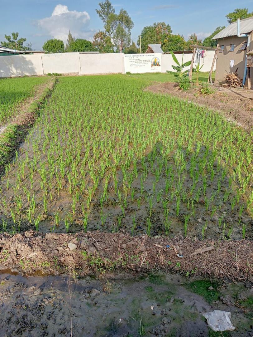 Sustainable Agriculture & Environment Conservation