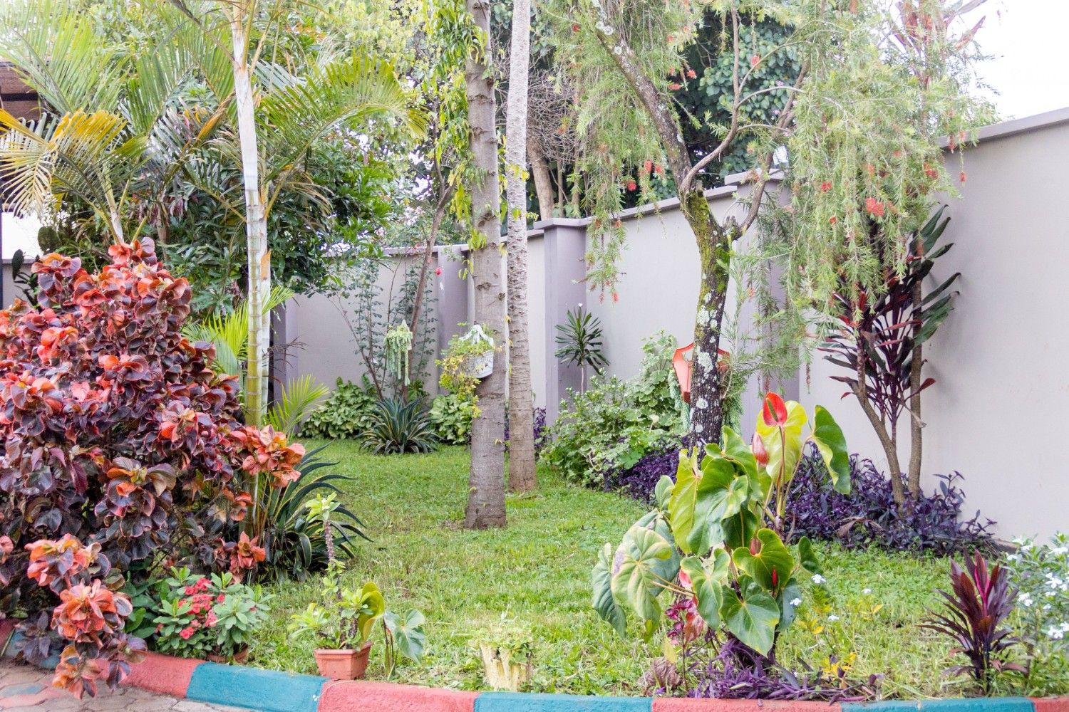 Environment & Conservation