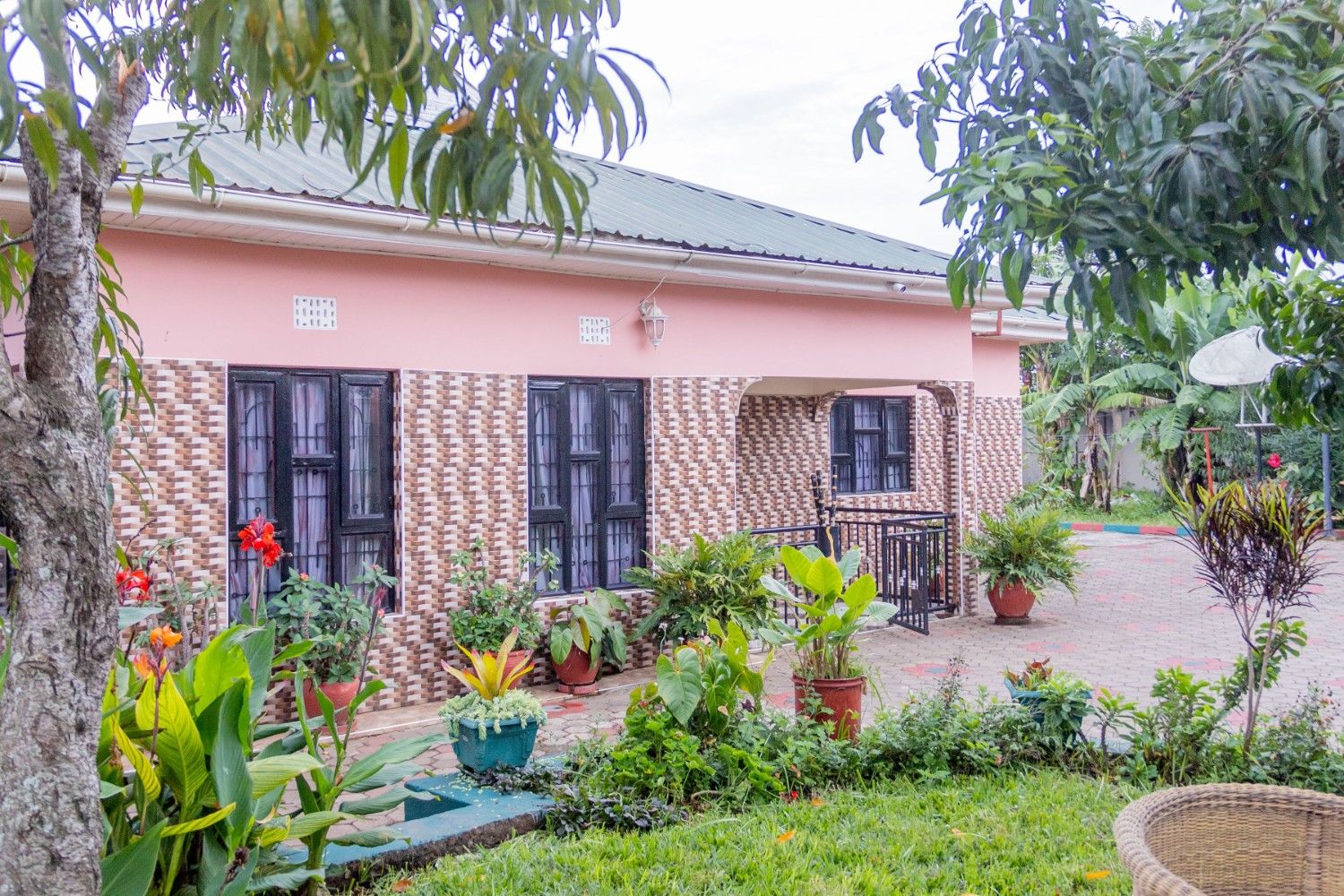 JMC Volunteer Stories & Guides hero