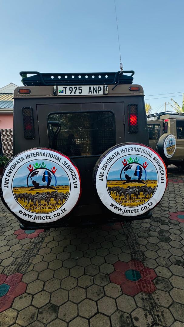 Serengeti National Park: One-Day Guided Excursion